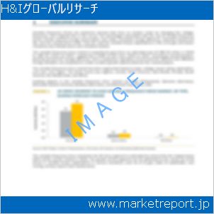 市場と産業調査レポートのイメージ
